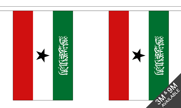 Somaliland Bunting